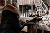 Новый год 2027 в Петербурге + Карелия - Изображение 1