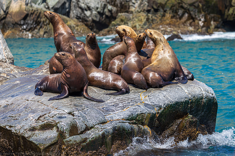 Тур на Камчатку! Путешествие на край земли - Изображение 17