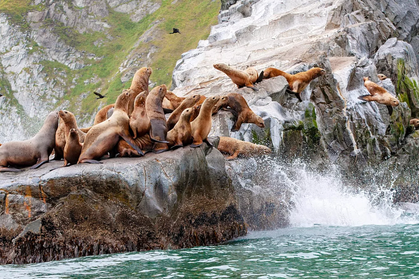 Тур на Камчатку! Путешествие на край земли - Изображение 1