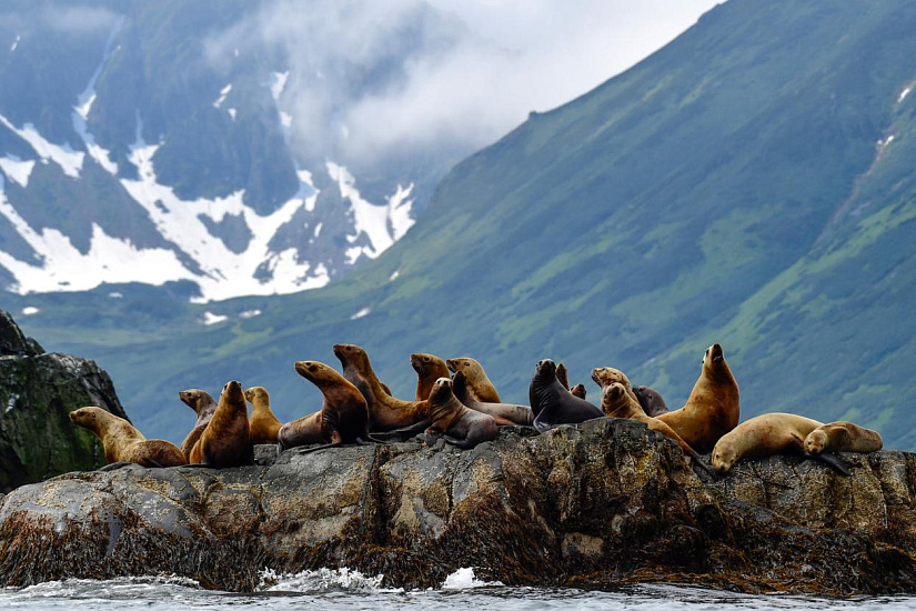 Тур на Камчатку! Путешествие на край земли - Изображение 16